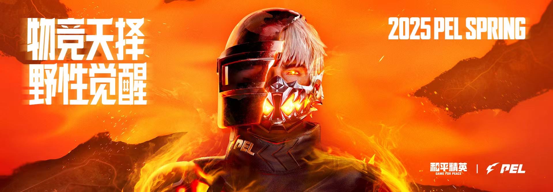 玩家社区对和平精英辅助软件的看法调查